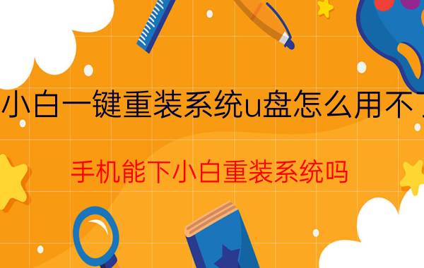 小白一键重装系统u盘怎么用不了 手机能下小白重装系统吗？